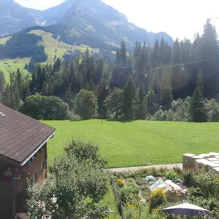 Apartment Ferienwohnung Bärgkristall Adelboden